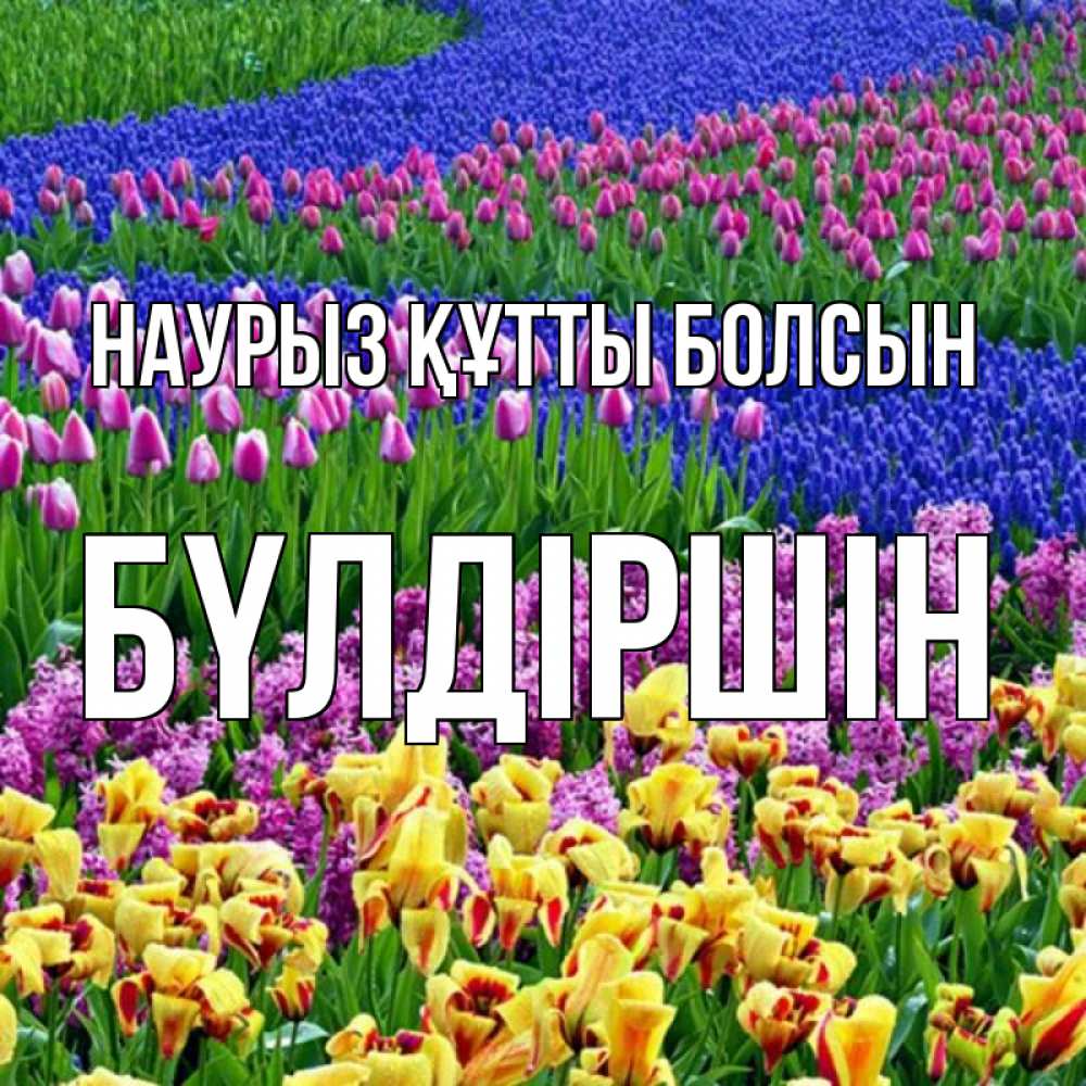 Күн сайын ашық хат с именем, БҮЛДІРШІН Наурыз құтты болсын цветы Онлайн тегін жүктеп алу тілектері бар керемет карта 