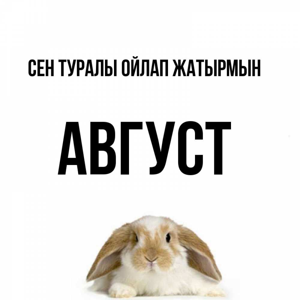 Күн сайын ашық хат с именем, Август Сен туралы ойлап жатырмын подписать своими руками онлайн Онлайн тегін жүктеп алу тілектері бар керемет карта 