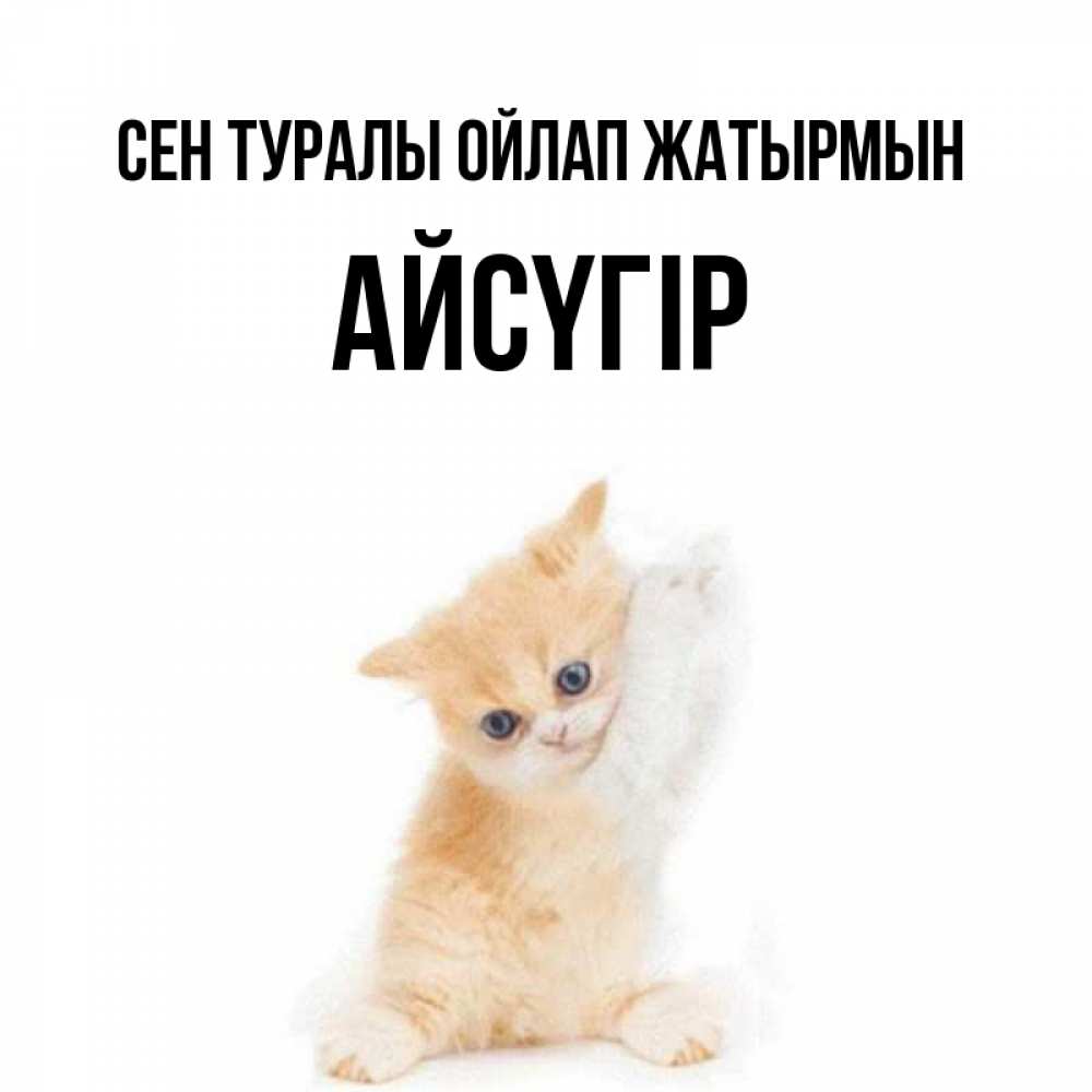 Күн сайын ашық хат с именем, Айсүгір Сен туралы ойлап жатырмын зверушки и милота Онлайн тегін жүктеп алу тілектері бар керемет карта 
