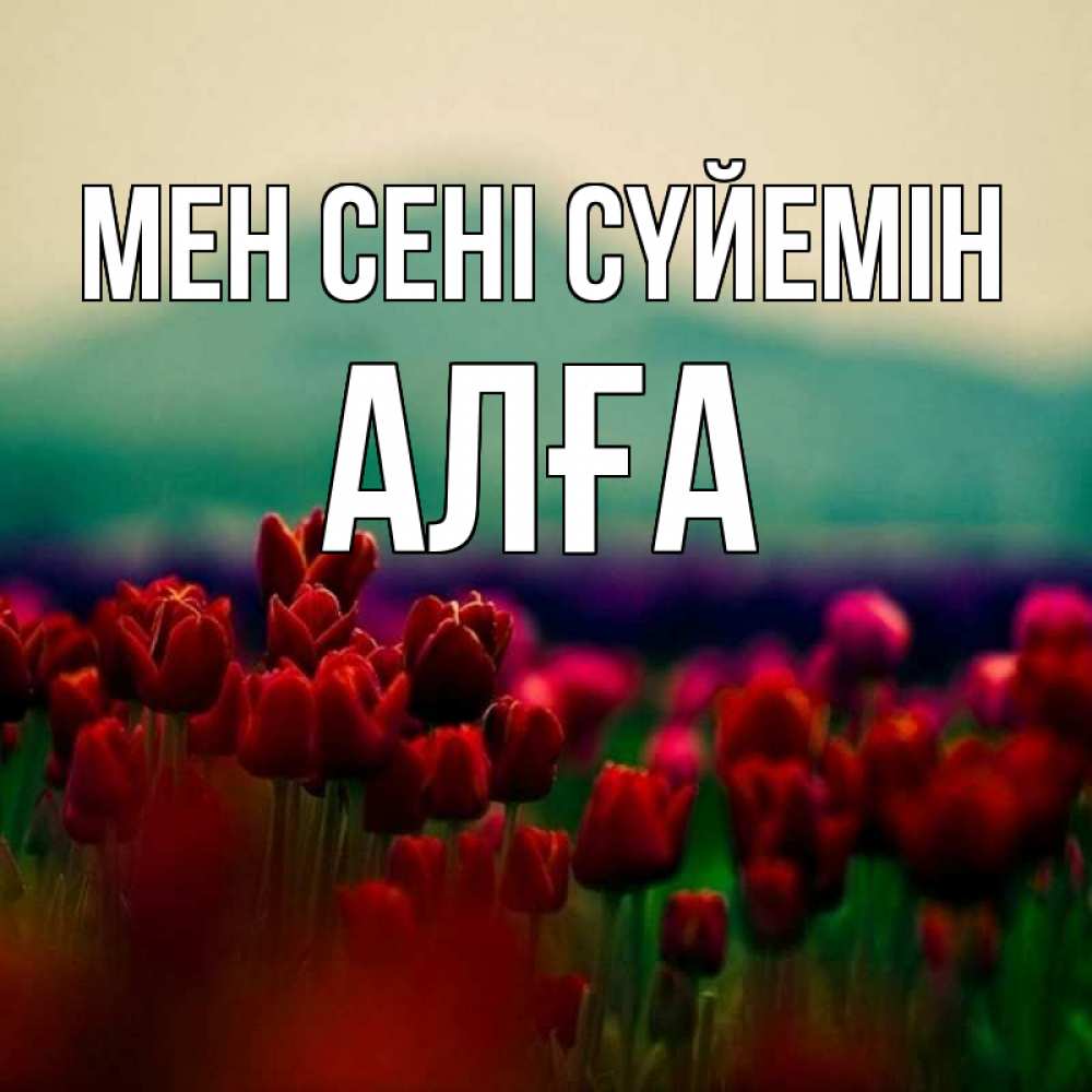 Күн сайын ашық хат с именем, Алға Мен сені сүйемін тюльпаны 4 Онлайн тегін жүктеп алу тілектері бар керемет карта 