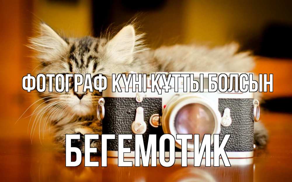 Күн сайын ашық хат с именем, Бегемотик Фотограф күні құтты болсын с днем фотографа Онлайн тегін жүктеп алу тілектері бар керемет карта 