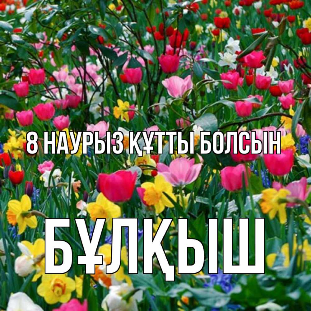 Күн сайын ашық хат с именем, Бұлқыш 8 наурыз құтты болсын с международным женским днем поздравления для женщины Онлайн тегін жүктеп алу тілектері бар керемет карта 
