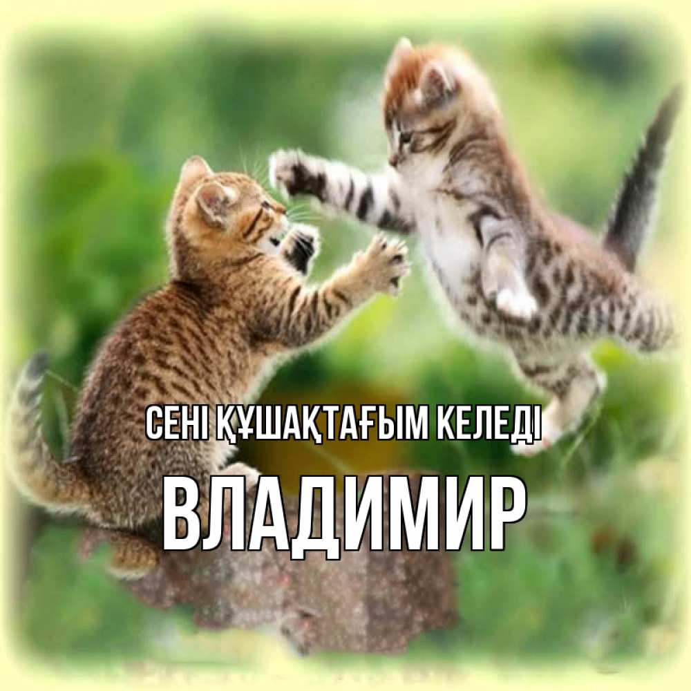 Күн сайын ашық хат с именем, Владимир сені құшақтағым келеді игры котят Онлайн тегін жүктеп алу тілектері бар керемет карта 