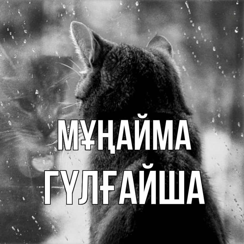 Күн сайын ашық хат с именем, ГҮЛҒАЙША Мұңайма отражение кота 1 Онлайн тегін жүктеп алу тілектері бар керемет карта 