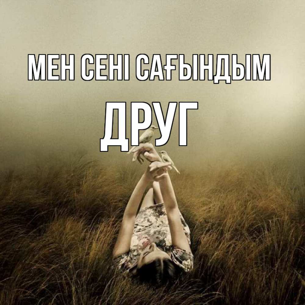 Күн сайын ашық хат с именем, Друг Мен сені сағындым девушка с голубями Онлайн тегін жүктеп алу тілектері бар керемет карта 