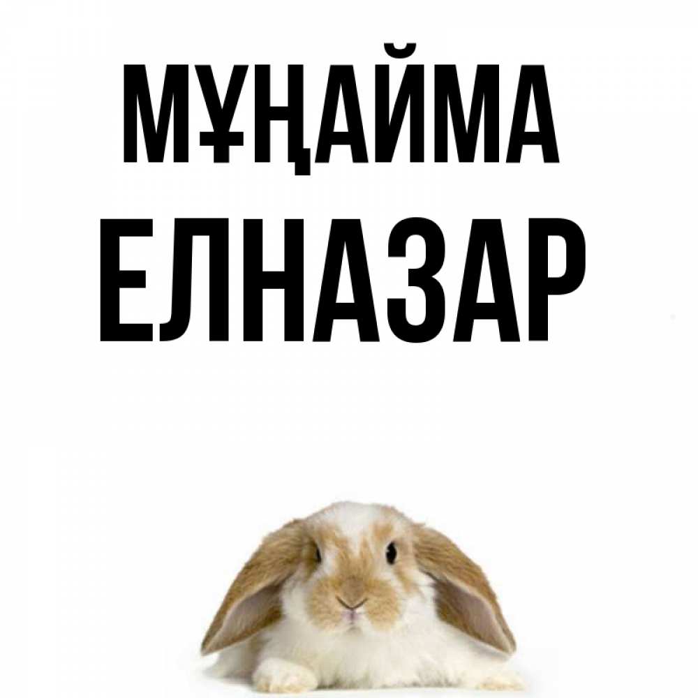 Күн сайын ашық хат с именем, Елназар Мұңайма коричнево белый заяц с большими ушками Онлайн тегін жүктеп алу тілектері бар керемет карта 