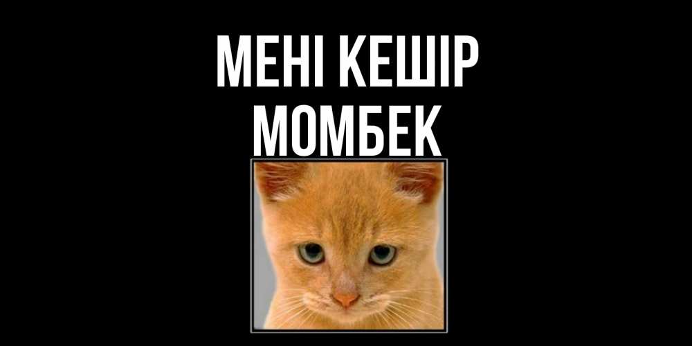 Күн сайын ашық хат с именем, МОМБЕК Мені кешір рыжий грустный кот просит прощения Онлайн тегін жүктеп алу тілектері бар керемет карта 