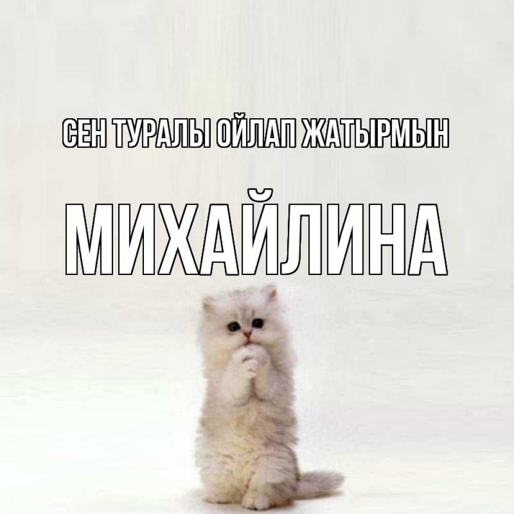 Күн сайын ашық хат с именем, Михайлина Сен туралы ойлап жатырмын кот стоит на задних лапах Онлайн тегін жүктеп алу тілектері бар керемет карта 