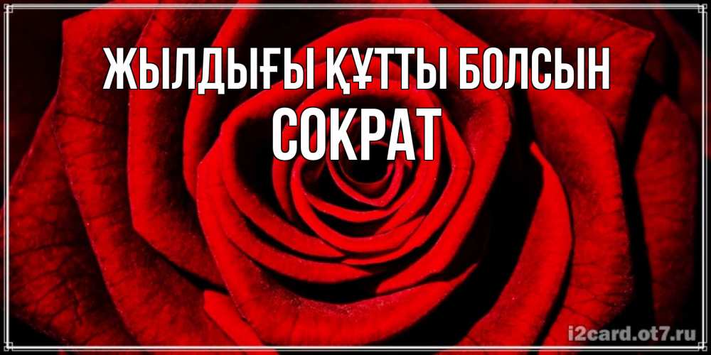 Күн сайын ашық хат с именем, Сократ Жылдығы құтты болсын алая роза Онлайн тегін жүктеп алу тілектері бар керемет карта 