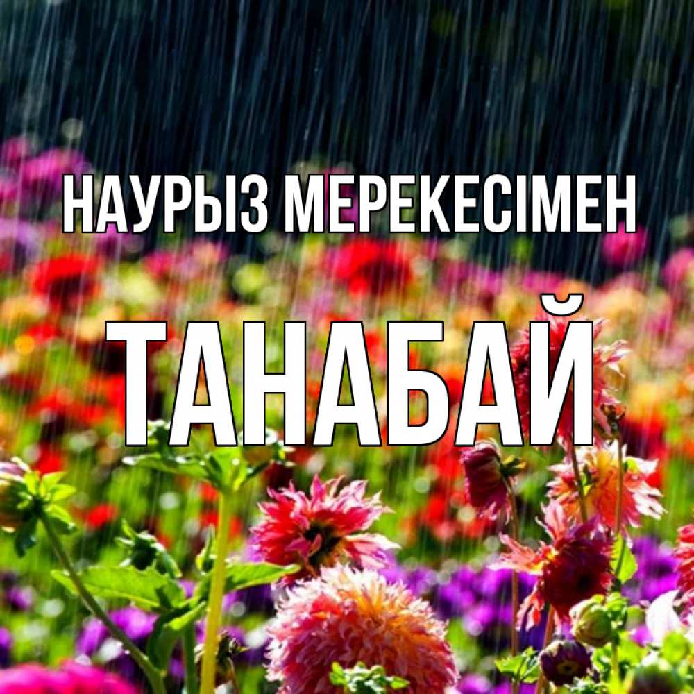 Күн сайын ашық хат с именем, ТАНАБАЙ Наурыз мерекесімен цветы под дождиком к международному женскому дню Онлайн тегін жүктеп алу тілектері бар керемет карта 