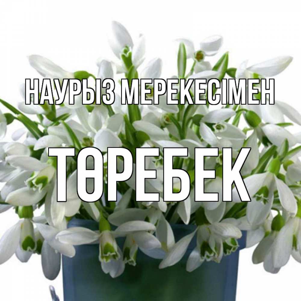 Күн сайын ашық хат с именем, ТӨРЕБЕК Наурыз мерекесімен цветы к наурызу новый год в Казахстане Онлайн тегін жүктеп алу тілектері бар керемет карта 