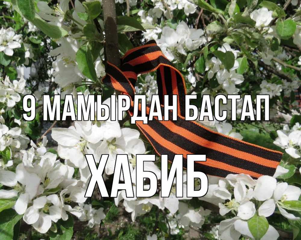 Күн сайын ашық хат с именем, ХАБИБ 9 мамырдан бастап 9 мая Онлайн тегін жүктеп алу тілектері бар керемет карта 