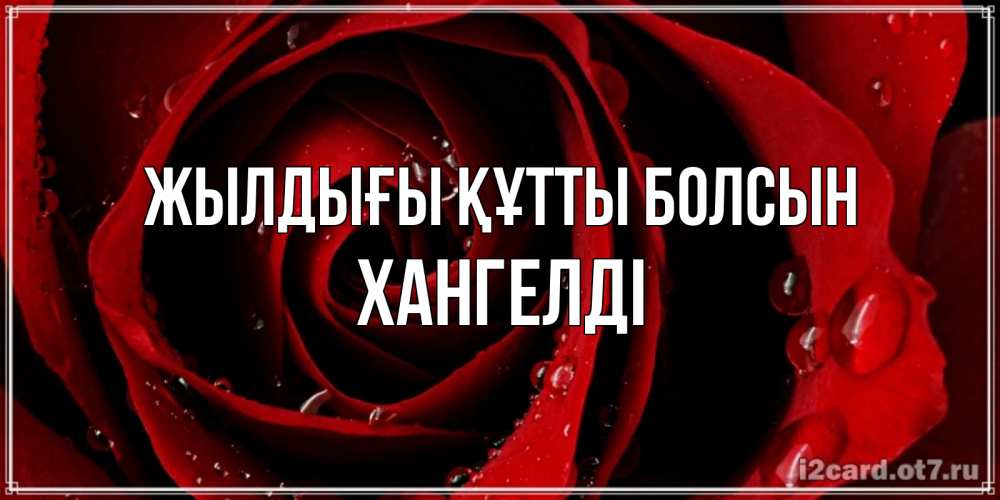 Күн сайын ашық хат с именем, ХАНГЕЛДІ Жылдығы құтты болсын крупная бордовая роза Онлайн тегін жүктеп алу тілектері бар керемет карта 