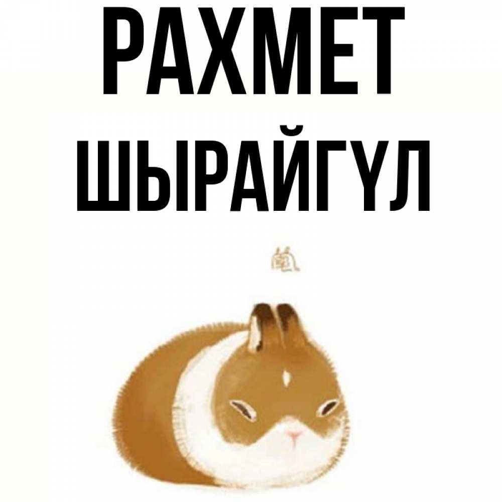 Күн сайын ашық хат с именем, ШЫРАЙГҮЛ рахмет коричнево белый домашний питомец Онлайн тегін жүктеп алу тілектері бар керемет карта 