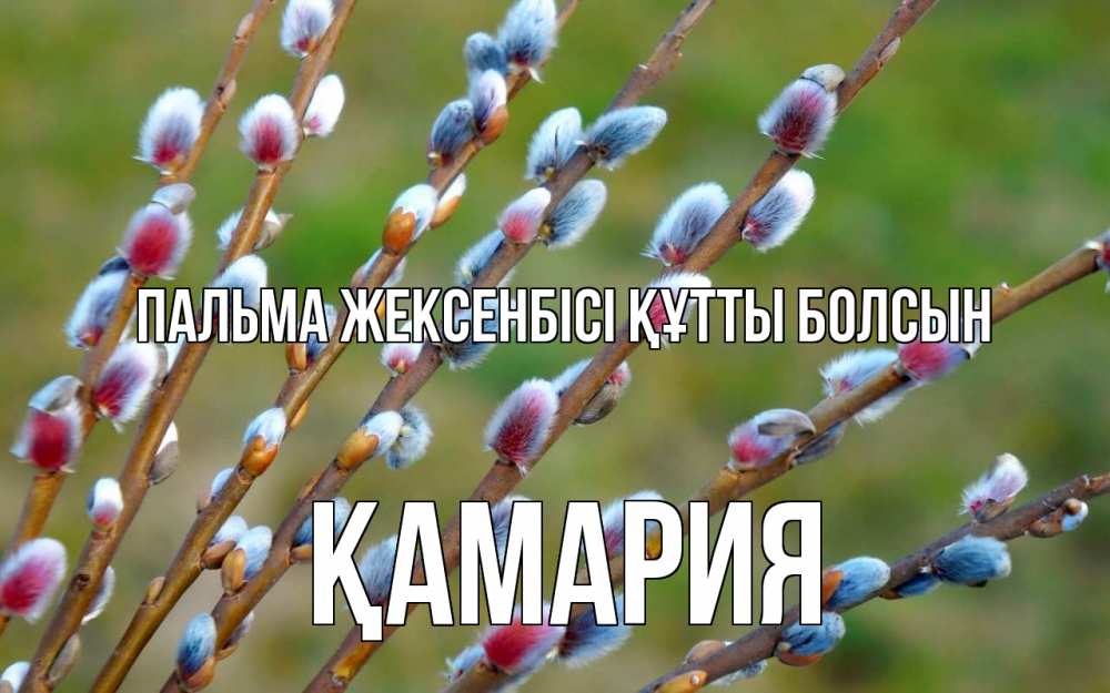 Күн сайын ашық хат с именем, ҚАМАРИЯ Пальма жексенбісі құтты болсын верба Онлайн тегін жүктеп алу тілектері бар керемет карта 