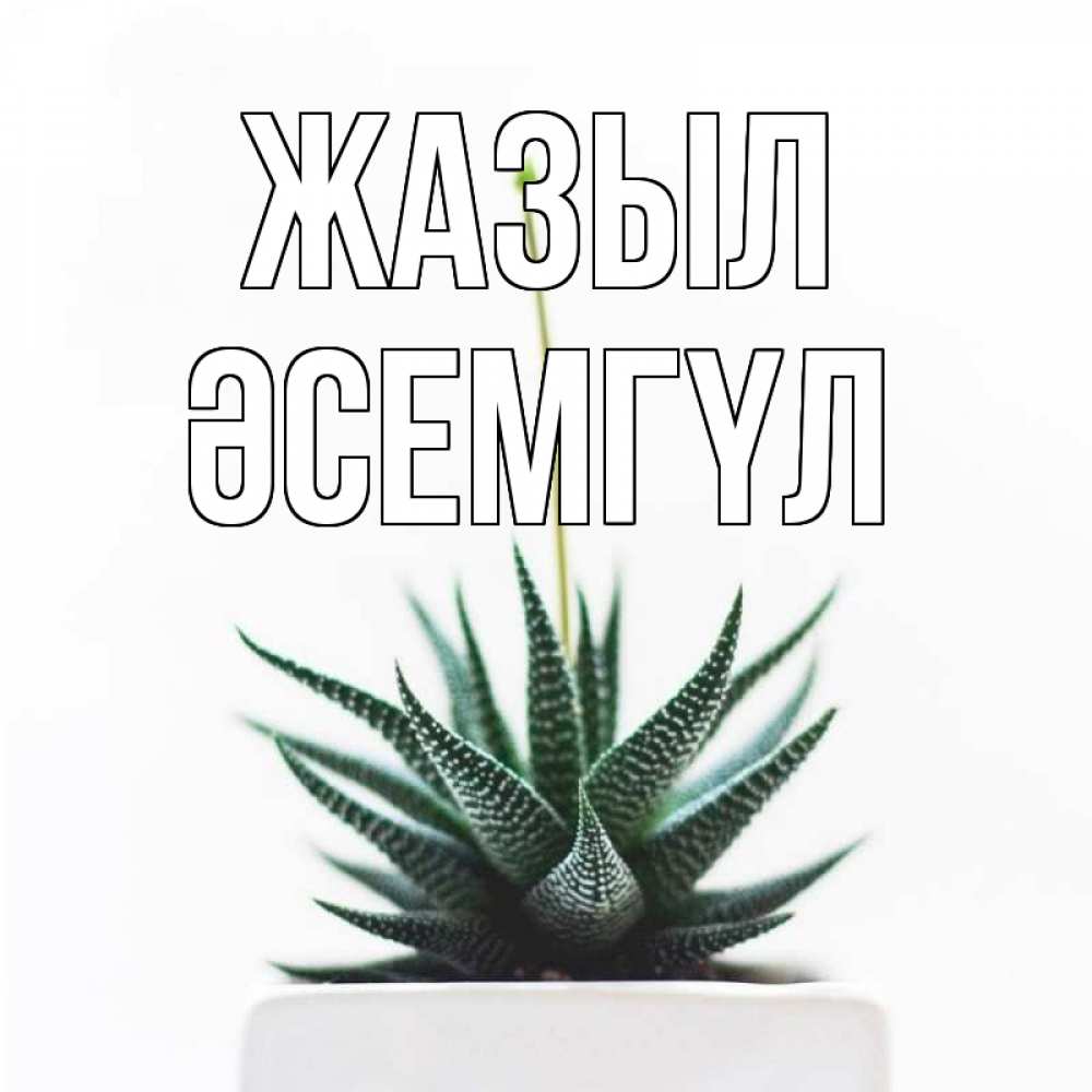 Күн сайын ашық хат с именем, ӘСЕМГҮЛ Жазыл короче это непонятная колючка Онлайн тегін жүктеп алу тілектері бар керемет карта 