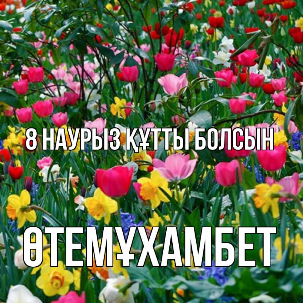 Күн сайын ашық хат с именем, ӨТЕМҰХАМБЕТ 8 наурыз құтты болсын с международным женским днем поздравления для женщины Онлайн тегін жүктеп алу тілектері бар керемет карта 