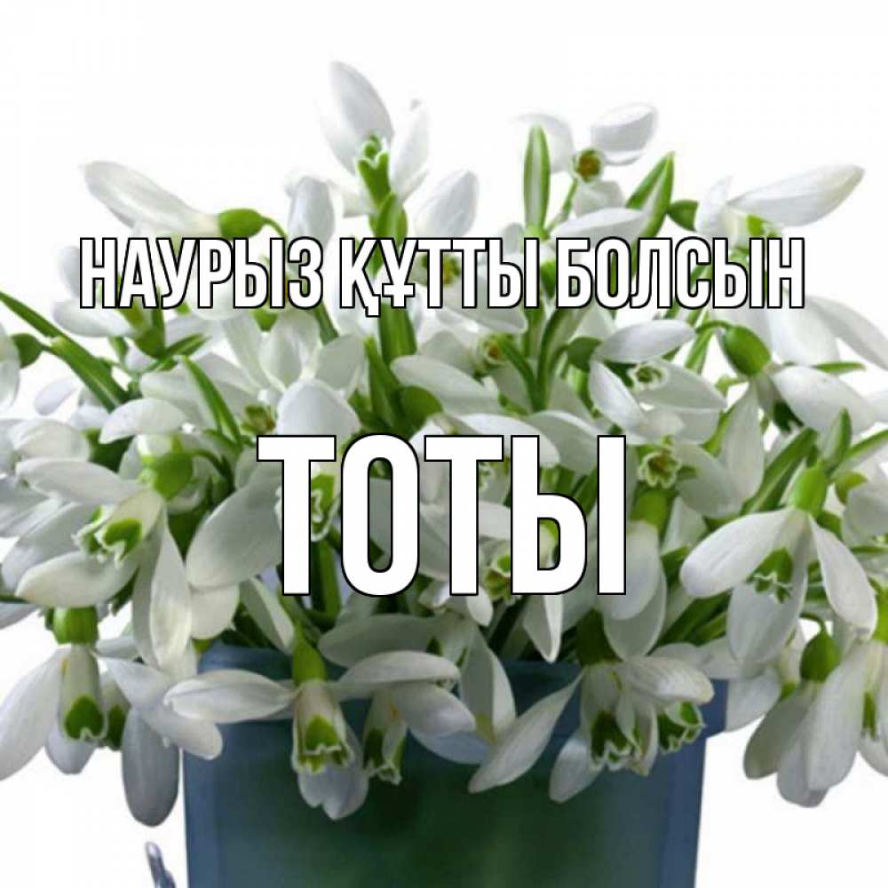 Күн сайын ашық хат с именем, ТОТЫ Наурыз құтты болсын цветы к наурызу Онлайн тегін жүктеп алу тілектері бар керемет карта 