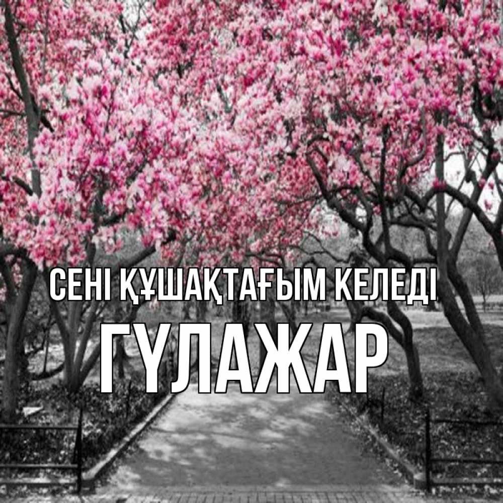 Күн сайын ашық хат с именем, ГҮЛАЖАР сені құшақтағым келеді обработанное фото Онлайн тегін жүктеп алу тілектері бар керемет карта 