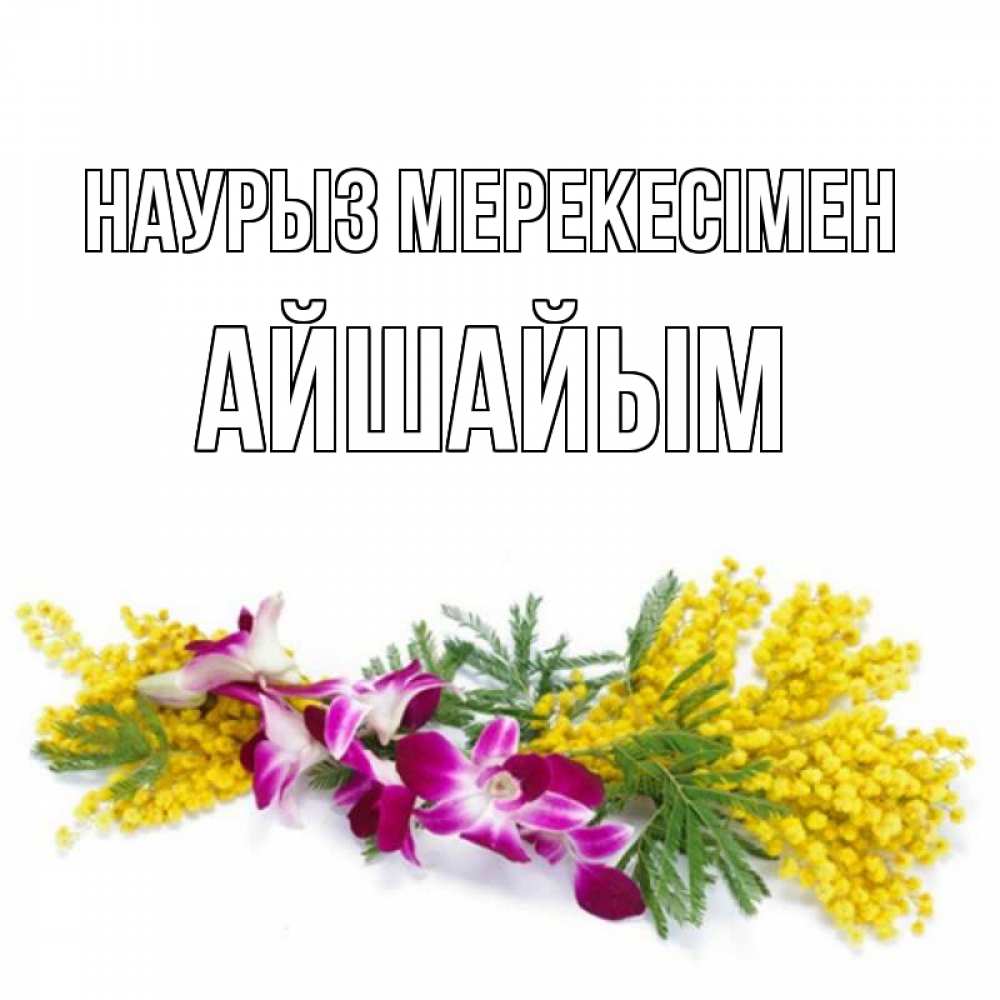 Күн сайын ашық хат с именем, АЙШАЙЫМ Наурыз мерекесімен открытка на международный женский день с цветами  1 Онлайн тегін жүктеп алу тілектері бар керемет карта 