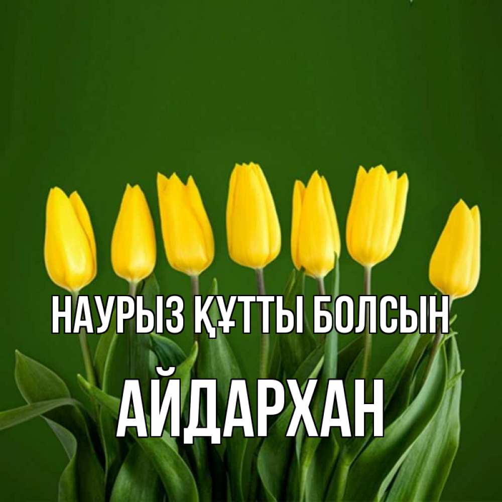 Күн сайын ашық хат с именем, Айдархан Наурыз құтты болсын желтого цвета 3 Онлайн тегін жүктеп алу тілектері бар керемет карта 