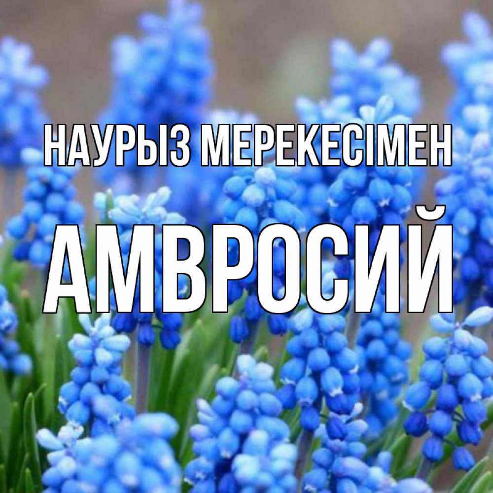 Күн сайын ашық хат с именем, Амвросий Наурыз мерекесімен Поздравительная открытка для женщин с цветами на праздничную дату Онлайн тегін жүктеп алу тілектері бар керемет карта 