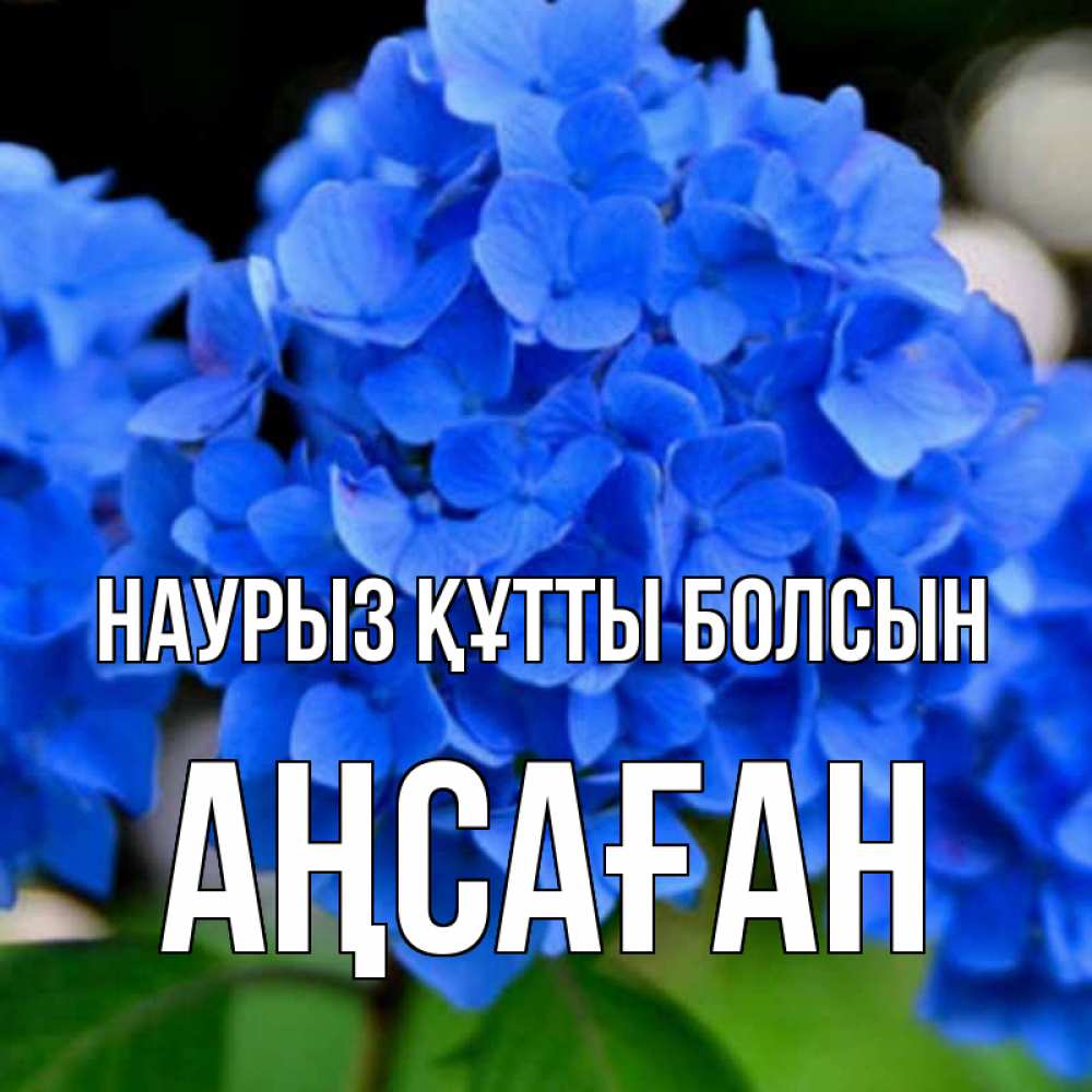 Күн сайын ашық хат с именем, Аңсаған Наурыз құтты болсын синие цветы Онлайн тегін жүктеп алу тілектері бар керемет карта 