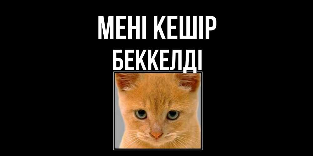 Күн сайын ашық хат с именем, Беккелді Мені кешір рыжий грустный кот просит прощения Онлайн тегін жүктеп алу тілектері бар керемет карта 
