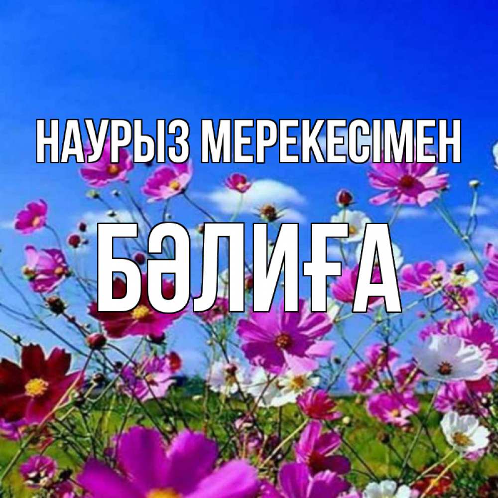 Күн сайын ашық хат с именем, БӘЛИҒА Наурыз мерекесімен цветы Онлайн тегін жүктеп алу тілектері бар керемет карта 