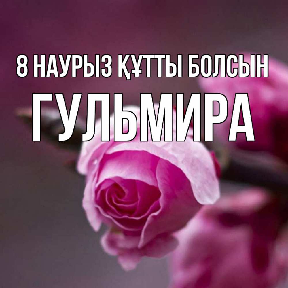 Күн сайын ашық хат с именем, Гульмира 8 наурыз құтты болсын весна Онлайн тегін жүктеп алу тілектері бар керемет карта 