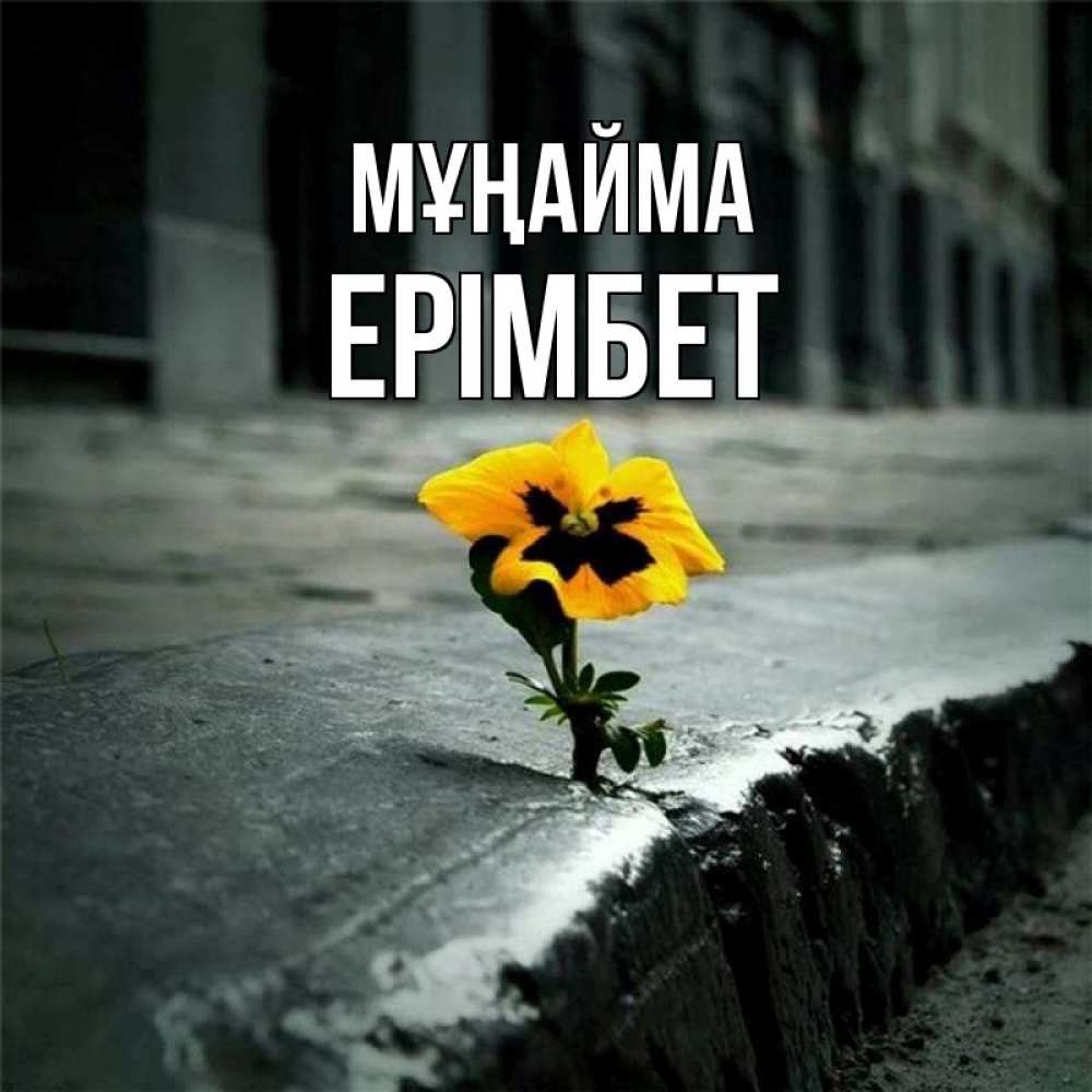 Күн сайын ашық хат с именем, Ерімбет Мұңайма не сдавайся Онлайн тегін жүктеп алу тілектері бар керемет карта 