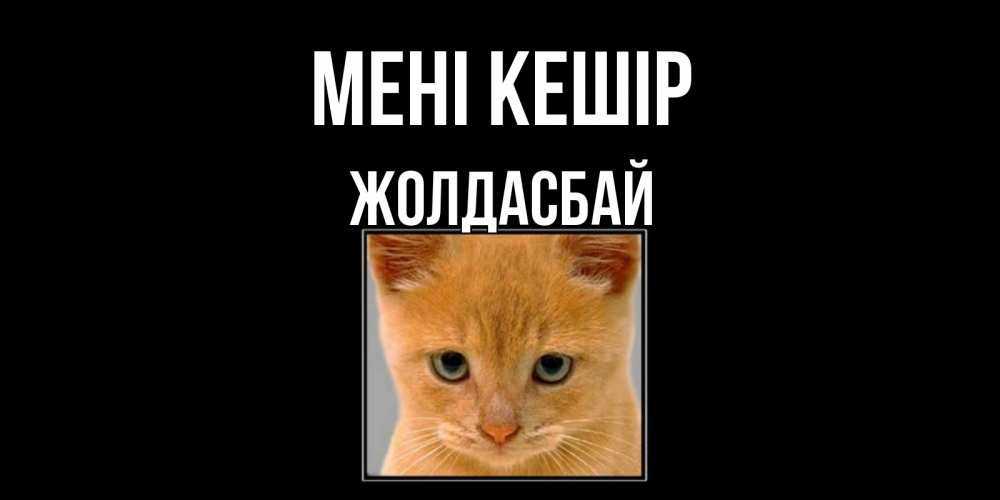 Күн сайын ашық хат с именем, Жолдасбай Мені кешір рыжий грустный кот просит прощения Онлайн тегін жүктеп алу тілектері бар керемет карта 