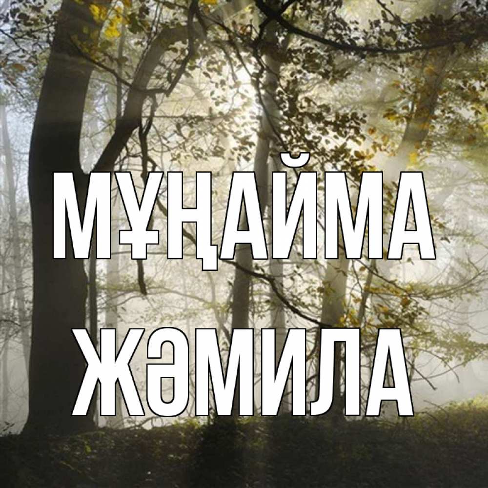 Күн сайын ашық хат с именем, ЖӘМИЛА Мұңайма лес и свет Онлайн тегін жүктеп алу тілектері бар керемет карта 