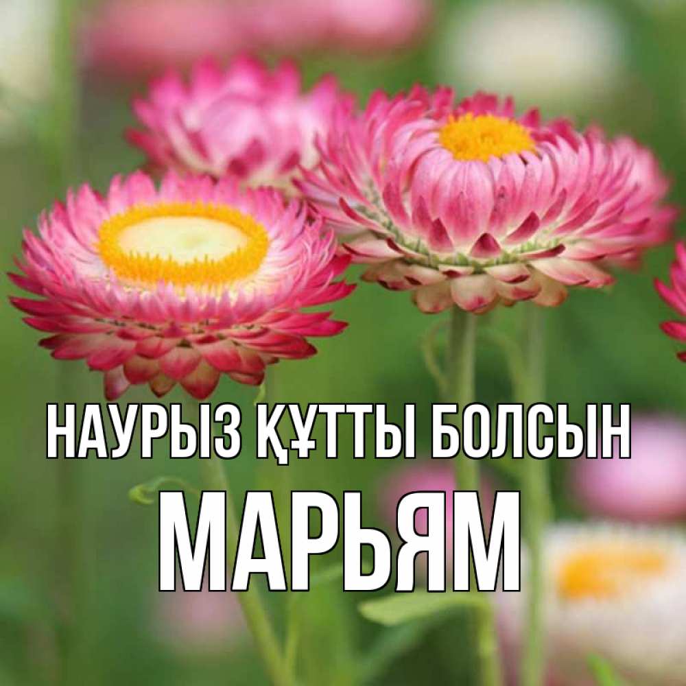 Күн сайын ашық хат с именем, Марьям Наурыз құтты болсын подарок на международный женский день Онлайн тегін жүктеп алу тілектері бар керемет карта 