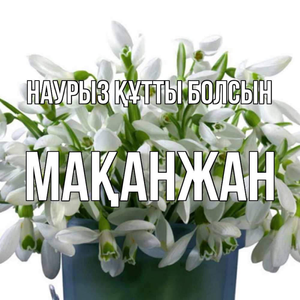 Күн сайын ашық хат с именем, Мақанжан Наурыз құтты болсын цветы к наурызу Онлайн тегін жүктеп алу тілектері бар керемет карта 