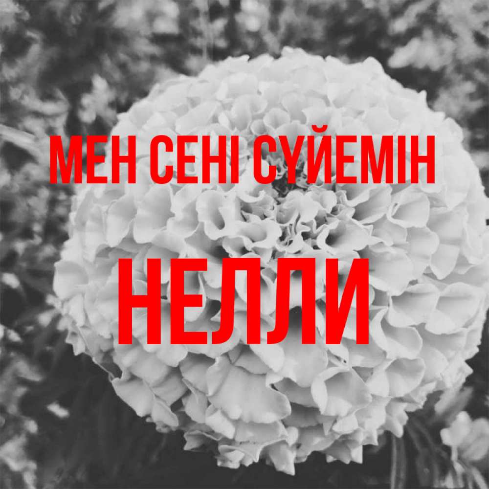 Күн сайын ашық хат с именем, Нелли Мен сені сүйемін подпись Онлайн тегін жүктеп алу тілектері бар керемет карта 