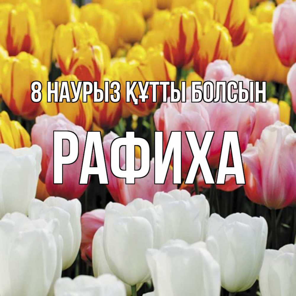 Күн сайын ашық хат с именем, РАФИХА 8 наурыз құтты болсын разноцветные цветы Онлайн тегін жүктеп алу тілектері бар керемет карта 