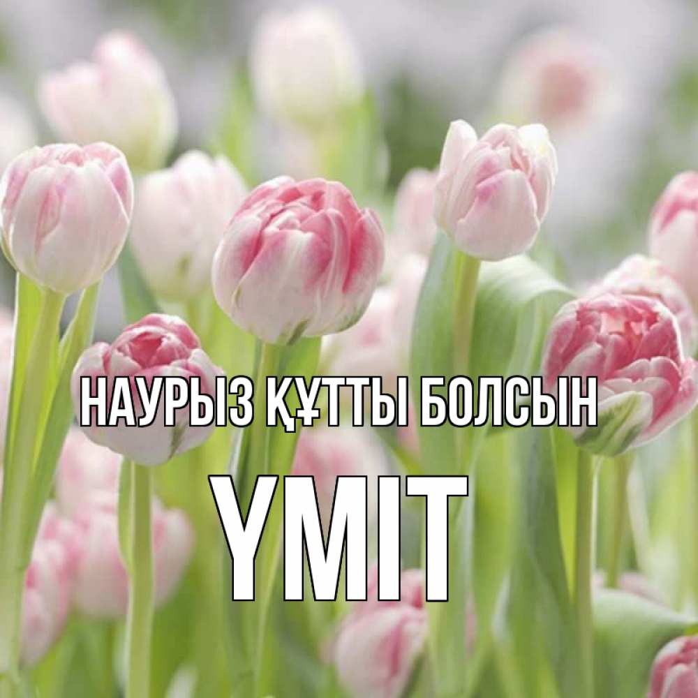 Күн сайын ашық хат с именем, ҮМІТ Наурыз құтты болсын цветы Онлайн тегін жүктеп алу тілектері бар керемет карта 