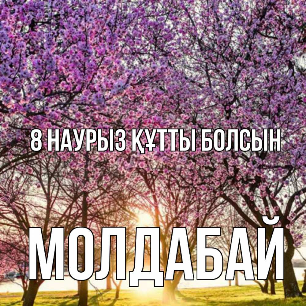 Күн сайын ашық хат с именем, МОЛДАБАЙ 8 наурыз құтты болсын международный женский день Онлайн тегін жүктеп алу тілектері бар керемет карта 