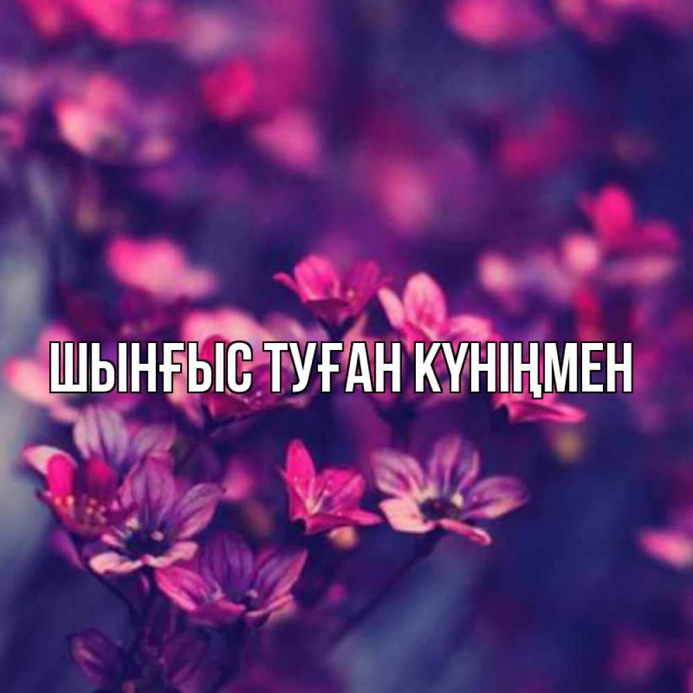 Картинка  с именем , ШЫНҒЫС! ТУҒАН КҮНІҢМЕН!