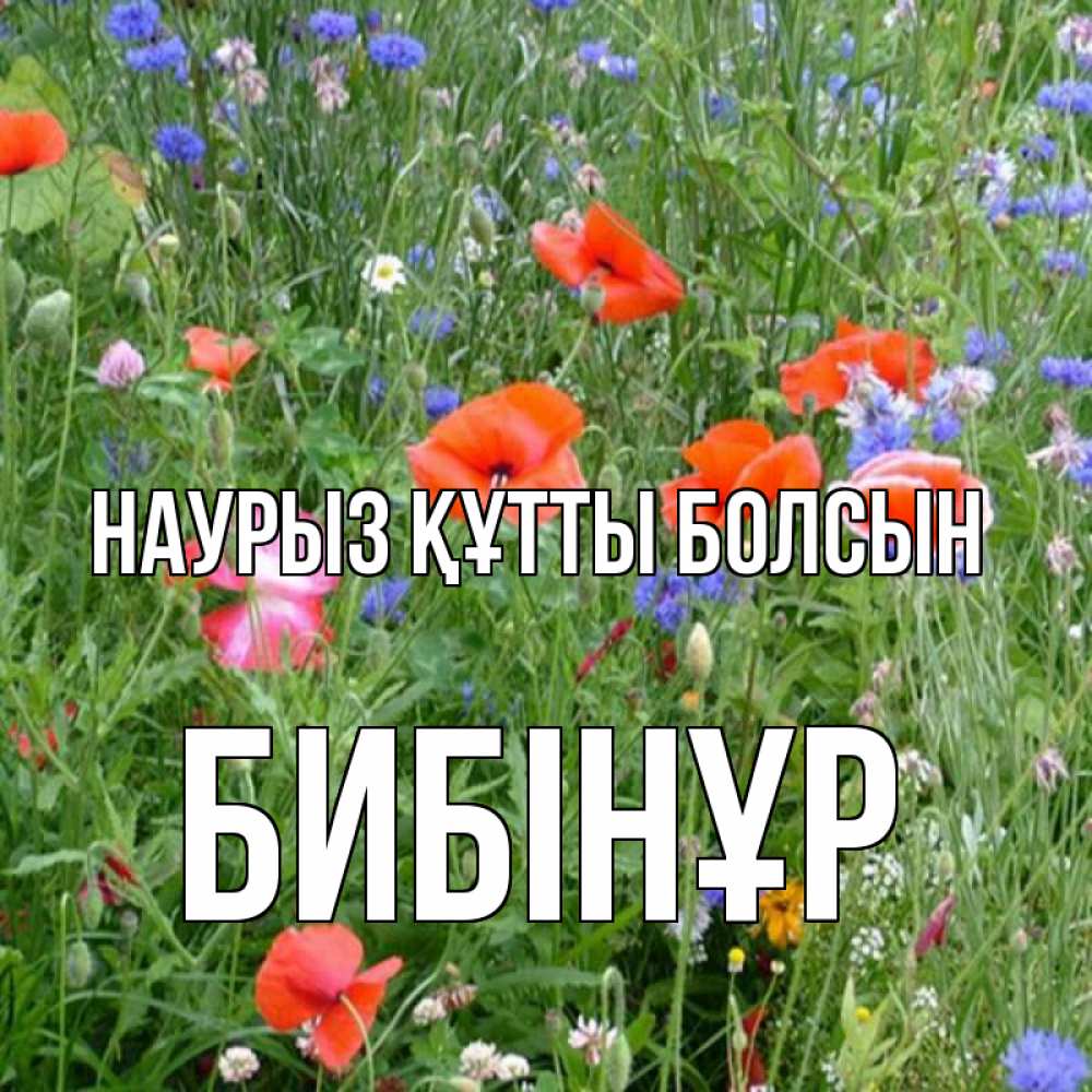 Күн сайын ашық хат с именем, БИБІНҰР Наурыз құтты болсын наурыз  4 Онлайн тегін жүктеп алу тілектері бар керемет карта 