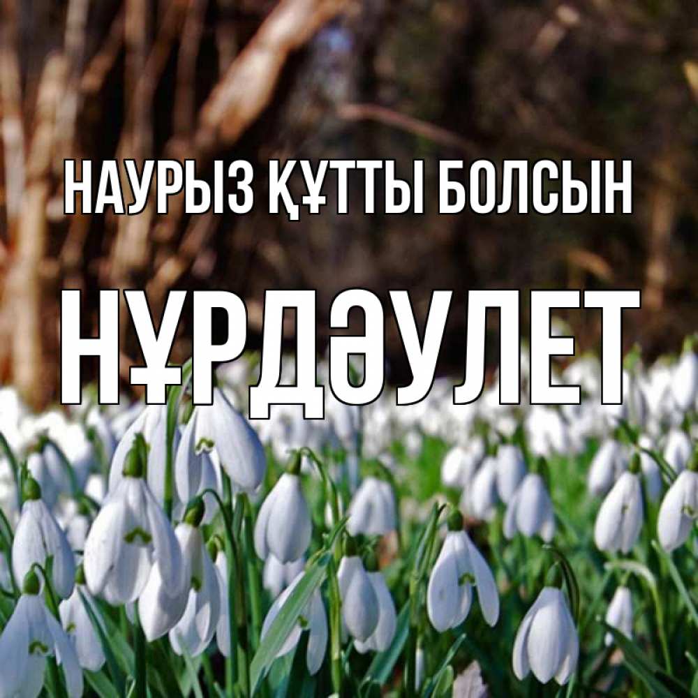 Күн сайын ашық хат с именем, НҰРДӘУЛЕТ Наурыз құтты болсын с подснежниками 1 Онлайн тегін жүктеп алу тілектері бар керемет карта 