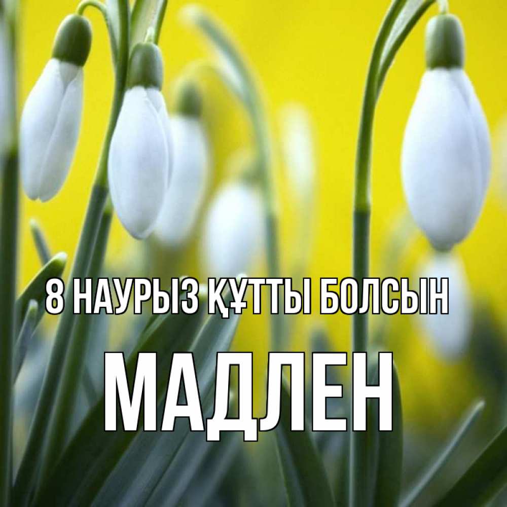 Күн сайын ашық хат с именем, Мадлен 8 наурыз құтты болсын весенние цветы Онлайн тегін жүктеп алу тілектері бар керемет карта 