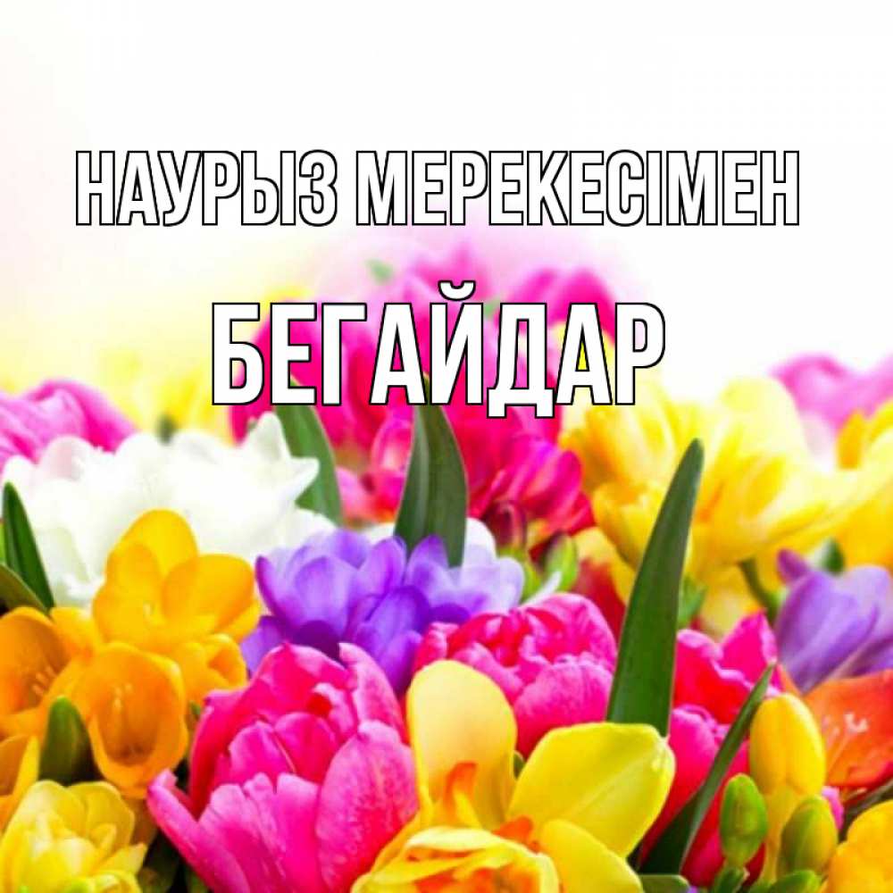 Күн сайын ашық хат с именем, Бегайдар Наурыз мерекесімен тюльпаны Онлайн тегін жүктеп алу тілектері бар керемет карта 