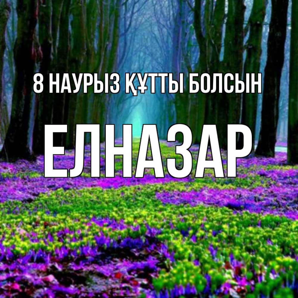 Күн сайын ашық хат с именем, Елназар 8 наурыз құтты болсын фиолетовые цветы в лесу 1 Онлайн тегін жүктеп алу тілектері бар керемет карта 