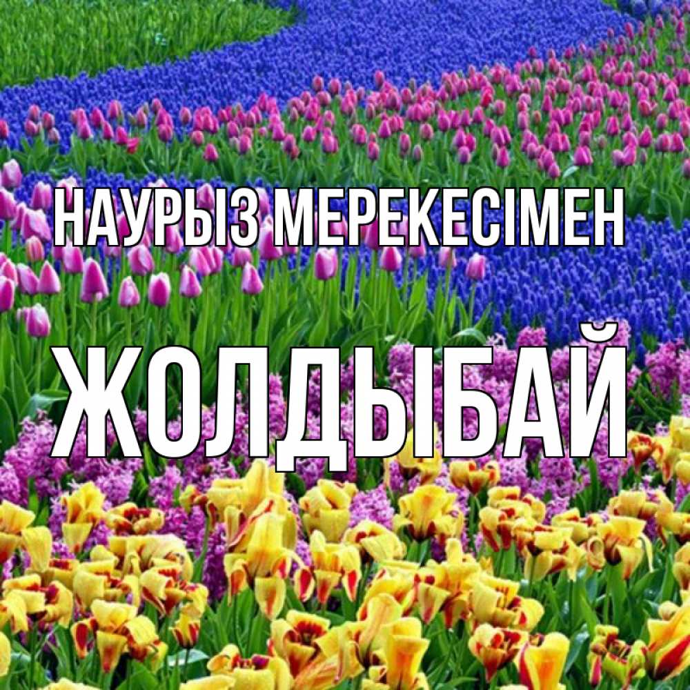 Күн сайын ашық хат с именем, Жолдыбай Наурыз мерекесімен цветы Онлайн тегін жүктеп алу тілектері бар керемет карта 