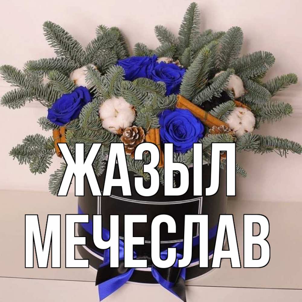 Күн сайын ашық хат с именем, Мечеслав Жазыл короче кто то загрузил эти шишки Онлайн тегін жүктеп алу тілектері бар керемет карта 