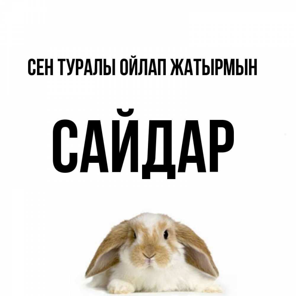Күн сайын ашық хат с именем, САЙДАР Сен туралы ойлап жатырмын подписать своими руками онлайн Онлайн тегін жүктеп алу тілектері бар керемет карта 