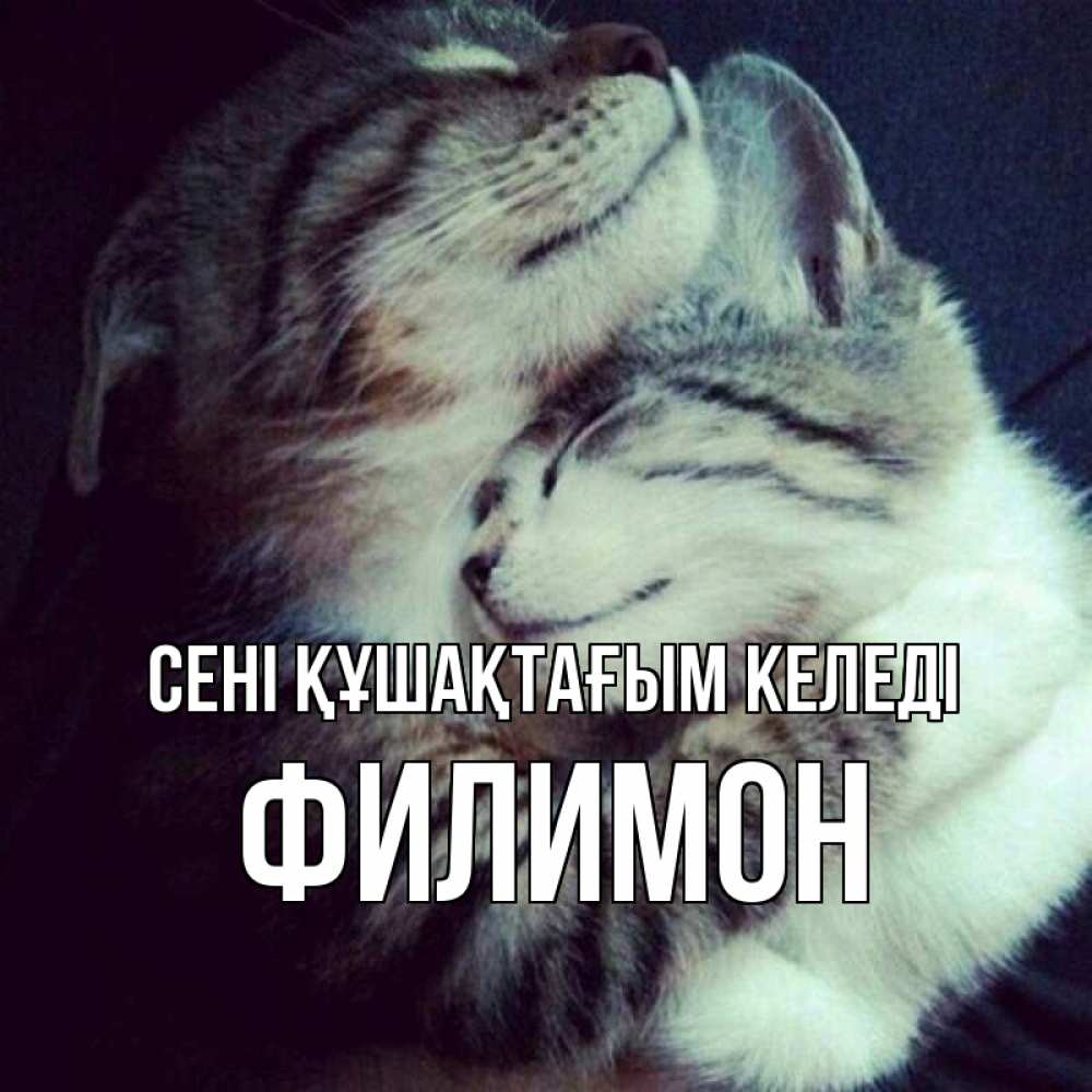 Күн сайын ашық хат с именем, Филимон сені құшақтағым келеді полосатики Онлайн тегін жүктеп алу тілектері бар керемет карта 