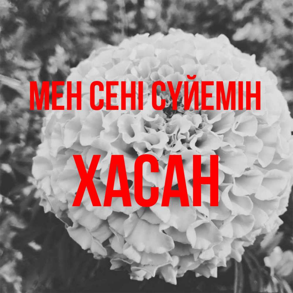 Күн сайын ашық хат с именем, ХАСАН Мен сені сүйемін подпись Онлайн тегін жүктеп алу тілектері бар керемет карта 